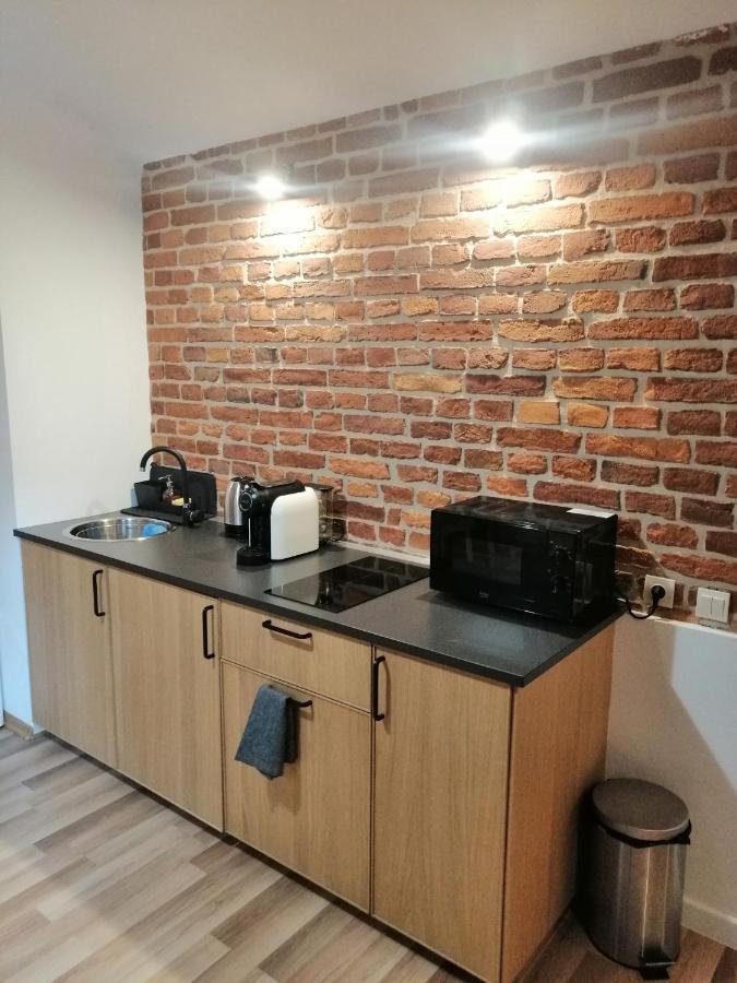 Apartament Pod Wawelem 克拉科夫 外观 照片